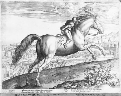 Equus Maurus by Jan van der Straet